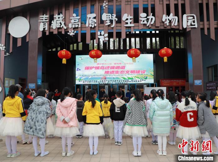 圖為青海省西寧市開(kāi)展第42屆“愛(ài)鳥(niǎo)周”科普宣傳活動(dòng)?！●R銘言 攝