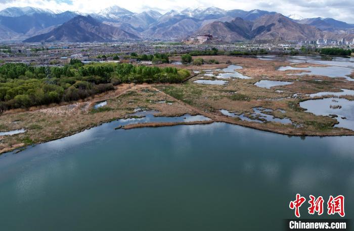圖為拉薩拉魯濕地。(無人機照片) 李林 攝