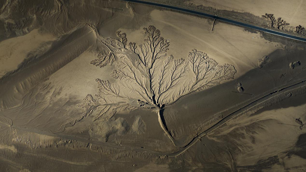 無人機視角下的西藏阿里地區(qū)改則縣“大地之樹”景觀。尼瑪多吉攝
