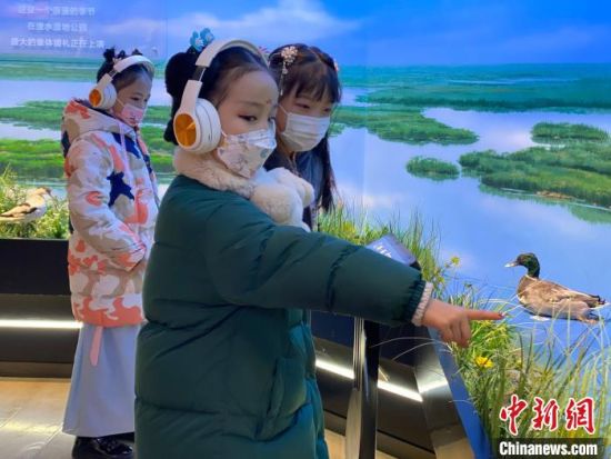 圖為學(xué)生在西寧市第一中學(xué)濕地科普宣教館內(nèi)參觀。　李江寧 攝