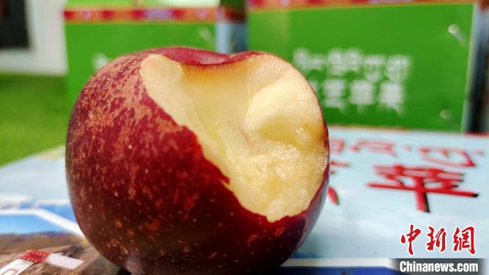 圖為通麥村特色甜心蘋果?！∝暽＠?攝