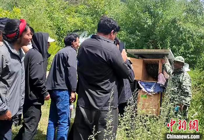 拉久西村村民學習養(yǎng)蜂工作流程和防范事項。　昌都市芒康縣委宣傳部供圖