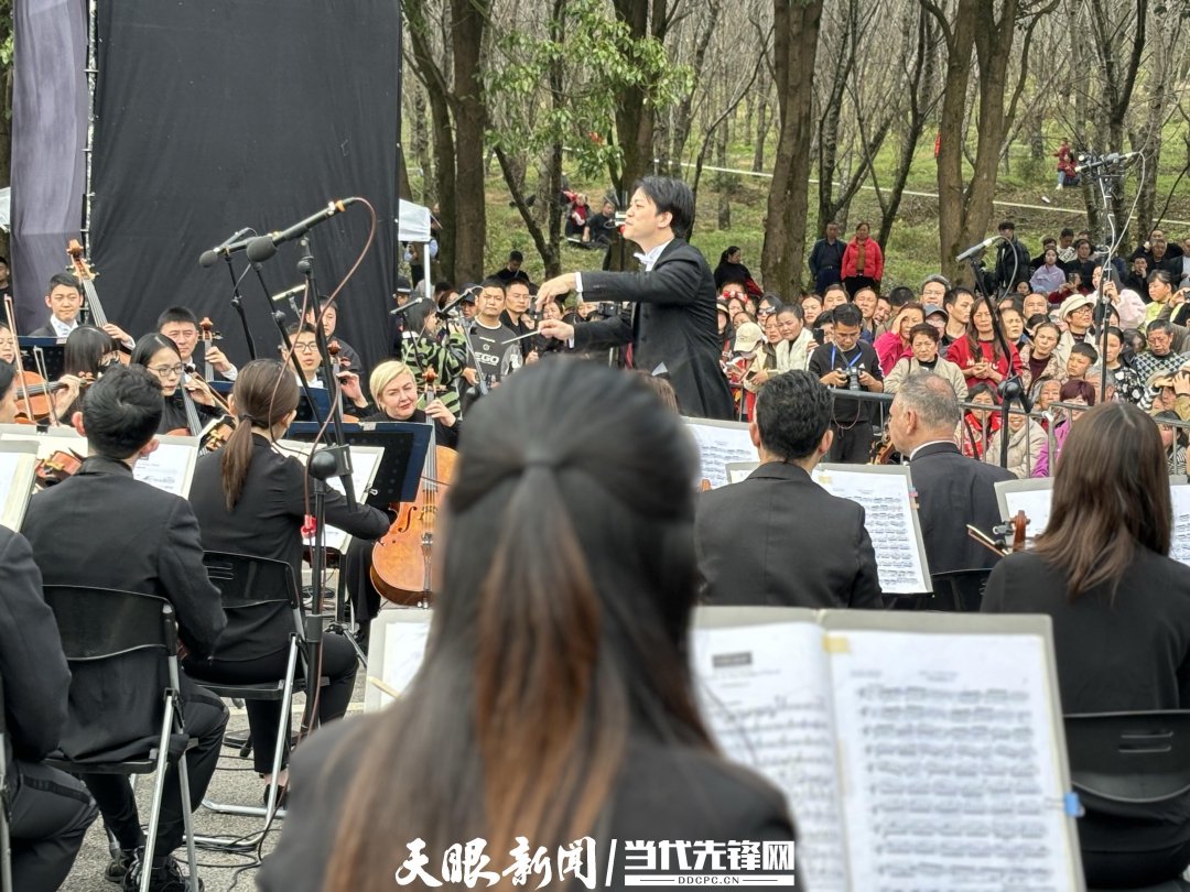 貴陽(yáng)路邊音樂(lè)會(huì)·貴安櫻花園專場(chǎng)交響樂(lè)現(xiàn)場(chǎng)。丁亞 文丹 攝