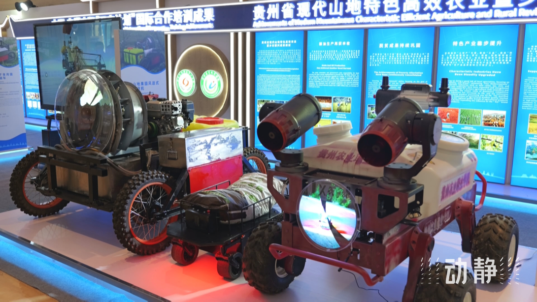 展示成果分享經(jīng)驗，中國—東盟教育交流周深化合作共創(chuàng)未來！