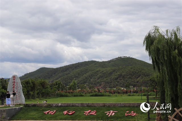 麗江市拉市海景區(qū)。 人民網(wǎng)記者 程浩攝