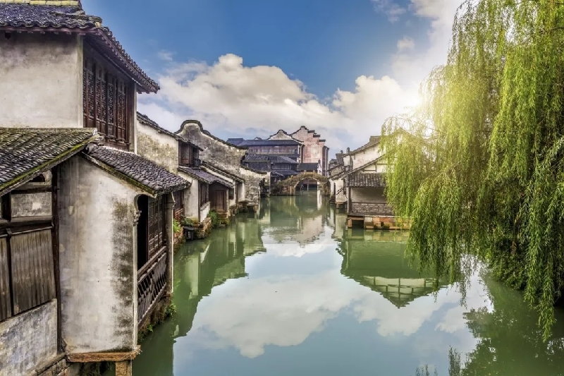 烏鎮(zhèn)動(dòng)觀察｜這個(gè)字，牽起國(guó)際交流互鑒之紐帶