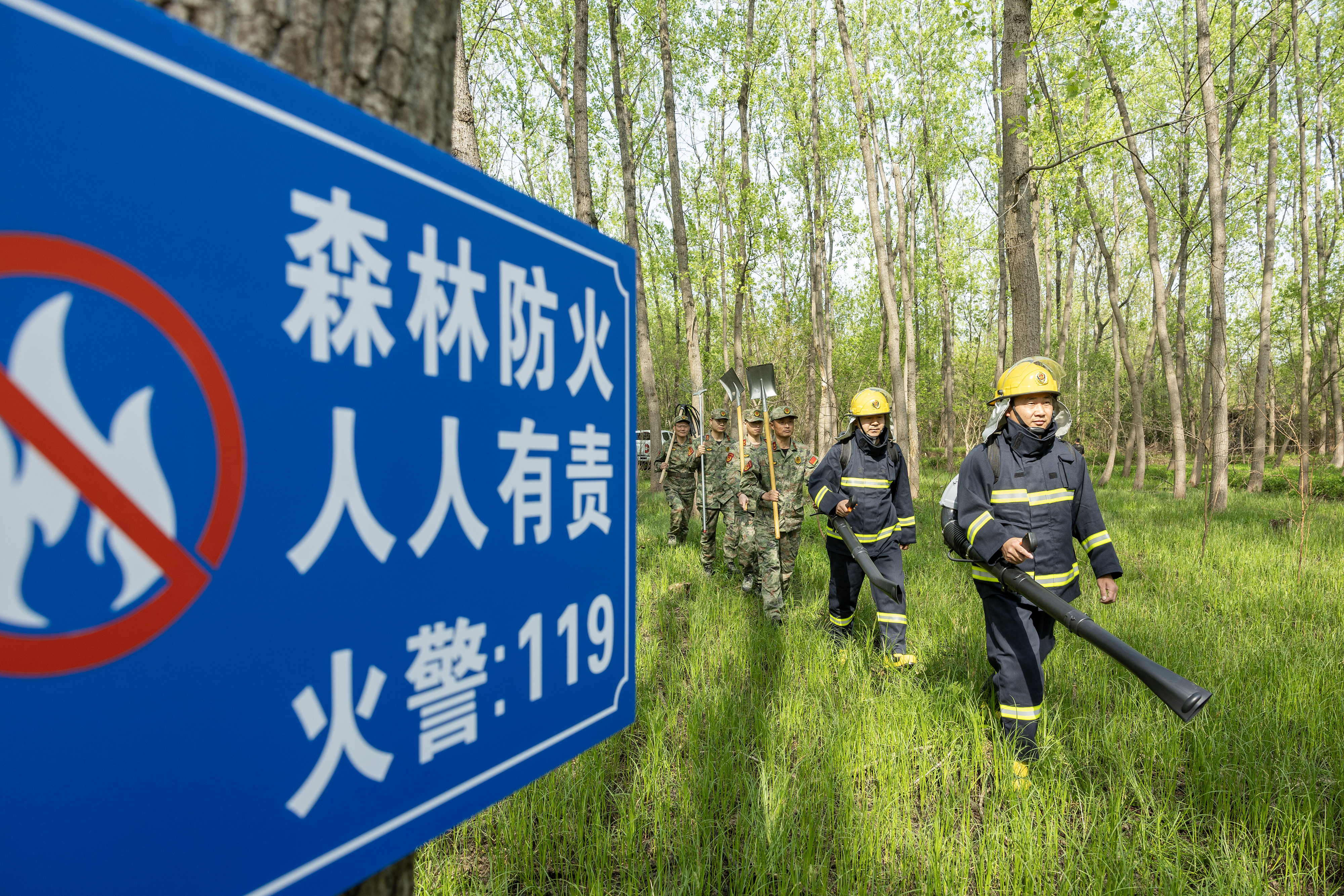 2024年4月9日，合肥市大房郢水庫水源保護地廬陽經(jīng)濟開發(fā)區(qū)段，基干民兵正在林間巡查火災隱患。