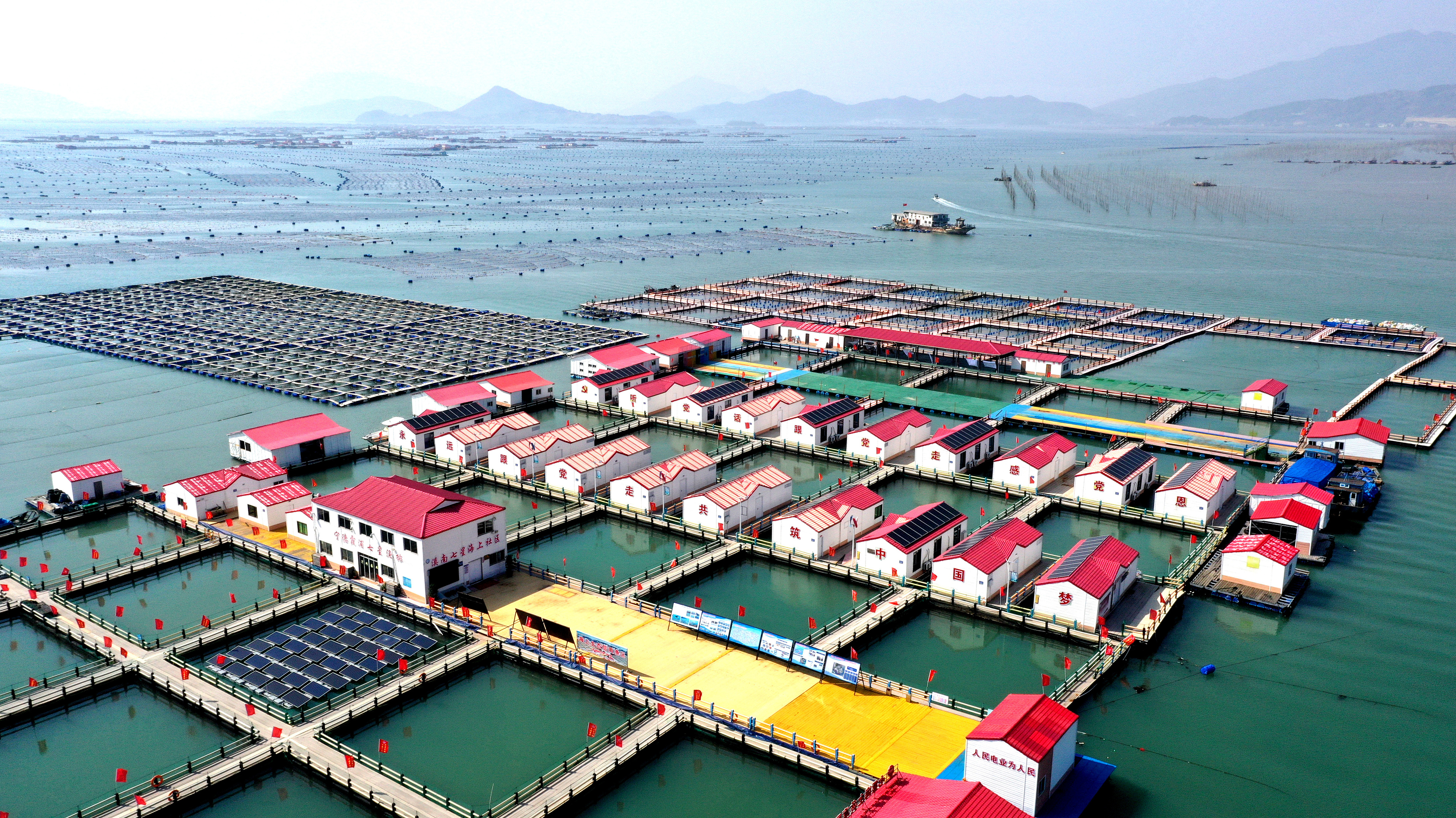 2024年3月20日，福建省寧德市，霞浦縣溪南鎮(zhèn)七星村漁排養(yǎng)殖示范區(qū)，漁民駕駛養(yǎng)殖船進(jìn)行海參養(yǎng)殖作業(yè)。