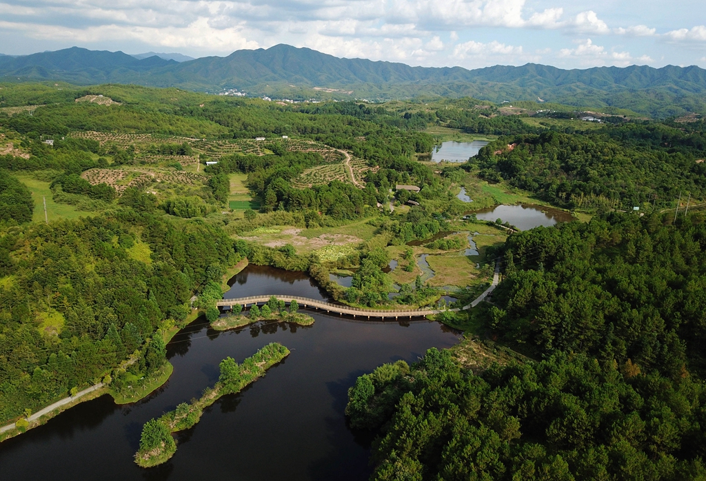 福建省龍巖市長汀縣的長汀汀江國家濕地公園景色（2020年7月28日攝，無人機照片）。新華社記者 魏培全 攝