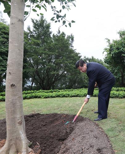 2012年12月7日至11日，習近平在廣東省考察工作。這是8日上午，習近平在深圳蓮花山公園種下一棵高山榕樹。新華社記者 蘭紅光 攝