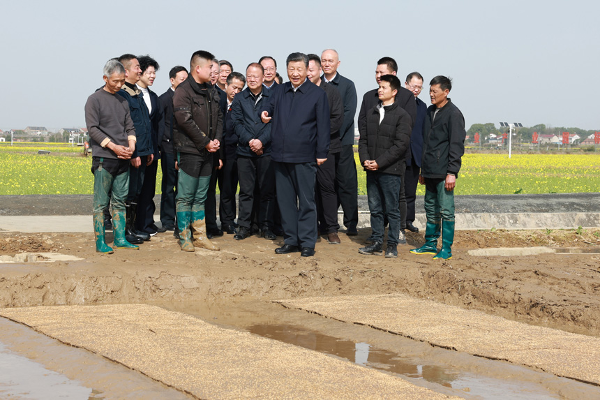 2024年3月18日至21日，中共中央總書記、國家主席、中央軍委主席習(xí)近平在湖南考察。這是19日下午，習(xí)近平在常德市鼎城區(qū)謝家鋪鎮(zhèn)港中坪村走進(jìn)田間，察看秧苗培育和春耕備耕進(jìn)展。新華社記者 王曄 攝