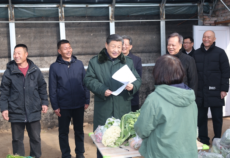 2024年2月1日，習(xí)近平總書記在天津市西青區(qū)辛口鎮(zhèn)第六埠村，走進(jìn)大棚同菜農(nóng)親切交流。