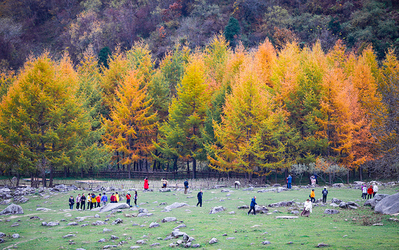2023年10月27日，深秋時節(jié)的陜西秦嶺太子嶺漫山紅黃、色彩交織，進入最佳觀賞期。
