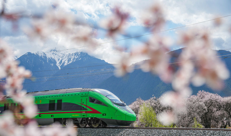 2025年4月2日，復興號列車穿行在拉林鐵路林芝段。