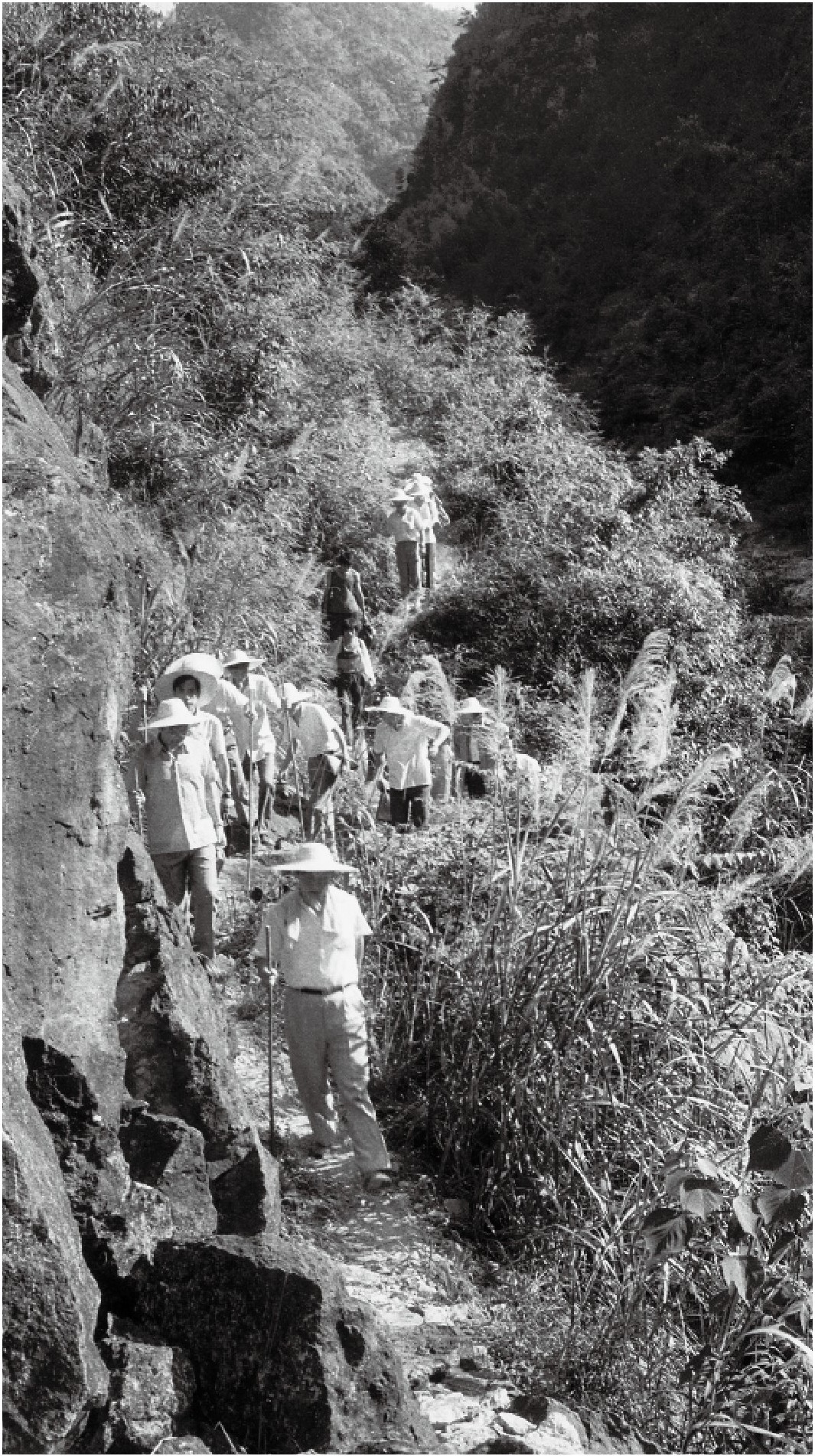 1989年7月，習近平一行到壽寧縣下黨鄉(xiāng)調(diào)研。