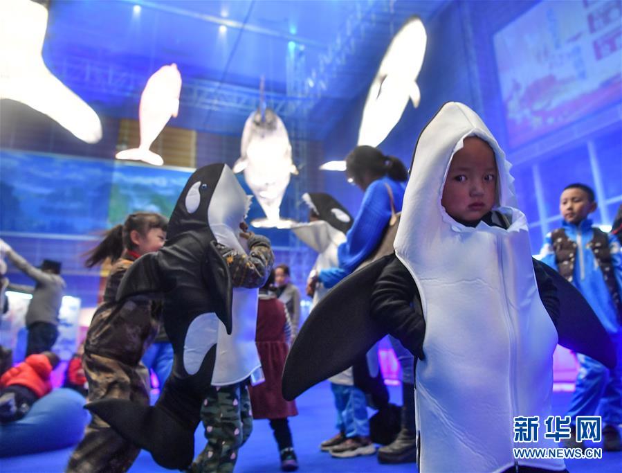 (社會(huì))(2)西藏:孩子們的博物館之夜