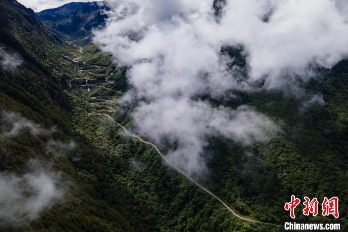 西藏山南勒布溝景區(qū)的盤山公路被云霧環(huán)繞?！〗w波 攝
