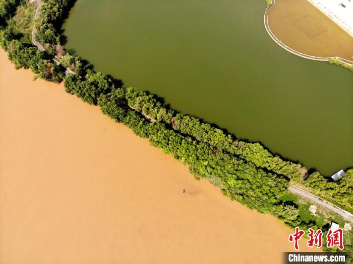 圖為2020年9月3日航拍黃河蘭州段濕地公園現(xiàn)黃河“鴛鴦鍋”。(資料圖) 高瑩 攝