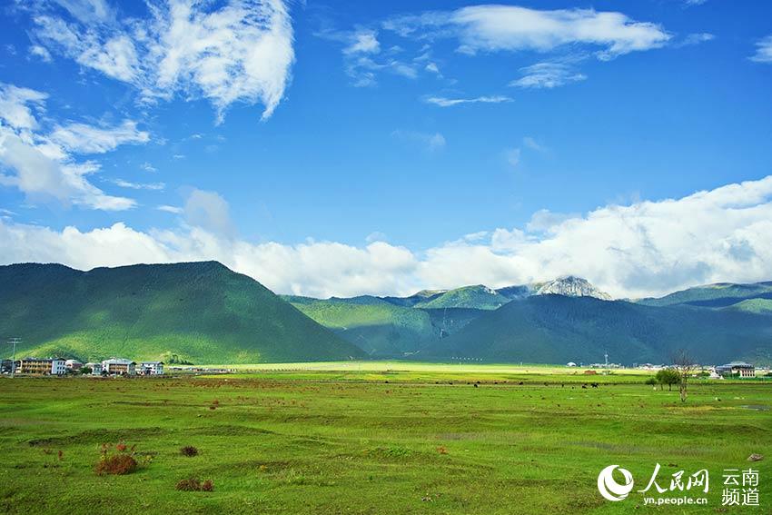 納帕海濕地風景。呂昊辰攝