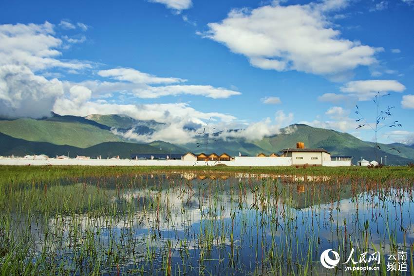 納帕海濕地風景。呂昊辰攝