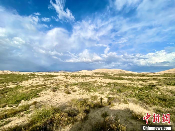 圖為關停四年后的沙島景區(qū)現(xiàn)狀?！±罱瓕?攝