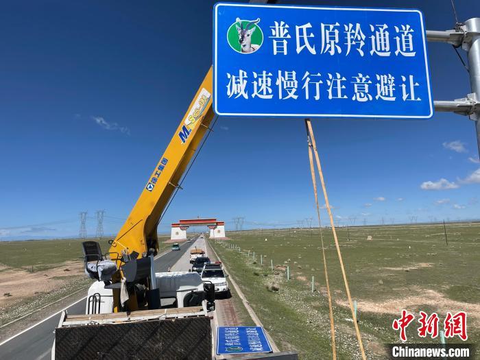 圖為青海省海北州剛察縣設(shè)立的普氏原羚通道警示牌。　青海省海北州人民檢察院供圖