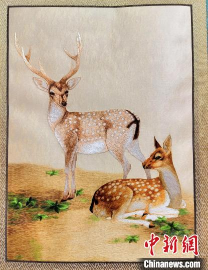圖為藏繡作品?！∑钤鲚?攝
