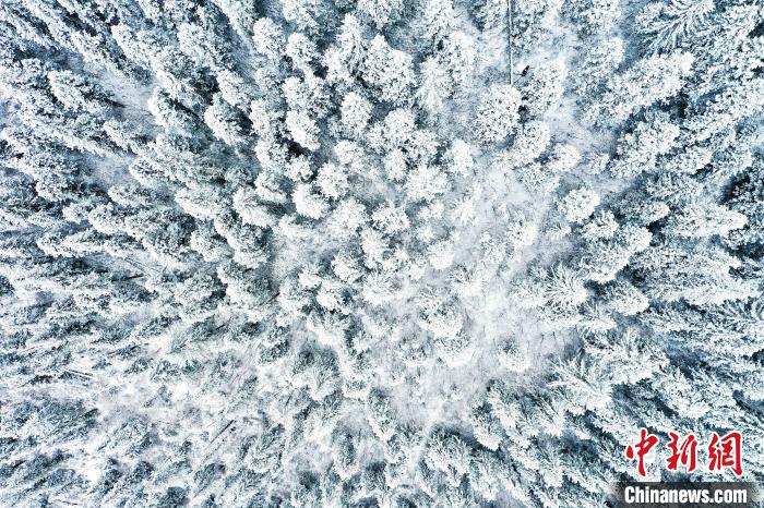壤塘的雪后美景?！∪捞量h融媒體中心供圖