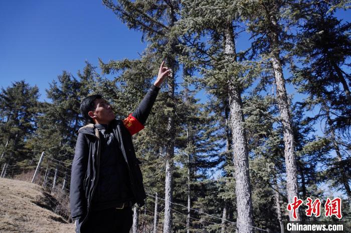 圖為桑杰加介紹林場樹木?！●R銘言 攝