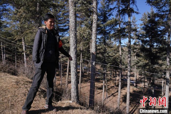 圖為桑杰加檢查林場防護(hù)網(wǎng)?！●R銘言 攝