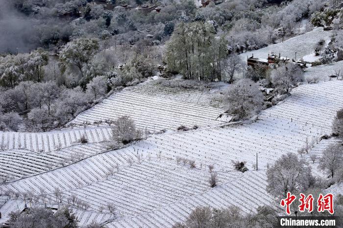 雪后的高山田間如畫?！±钣腊?攝