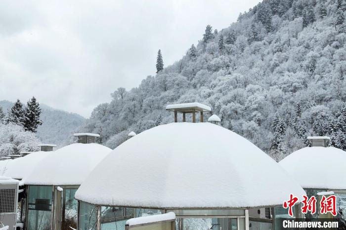 大熊貓國(guó)家公園王朗片區(qū)春雪如畫(huà)，宛若仙境。　羅春平 攝