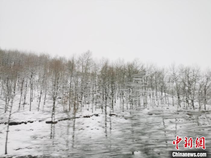 圖為青海青沙山區(qū)域被降雪覆蓋?！?zhí)砀?攝