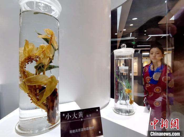 青海中藏醫(yī)藥發(fā)展提速：建設(shè)一批重點(diǎn)?？茖W(xué)科，推廣一批適宜技術(shù)