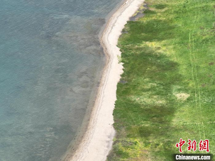 圖為航拍仲夏時節(jié)，青海湖畔綠茵如毯?！∑钤鲚?攝