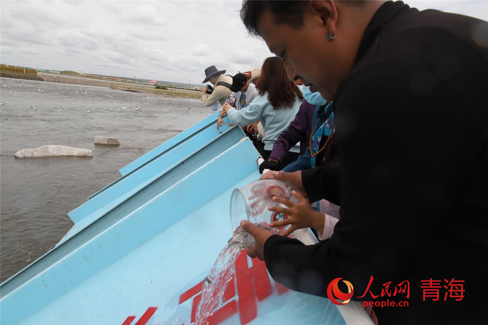 群眾放流青海湖裸鯉。人民網(wǎng) 陳明菊攝