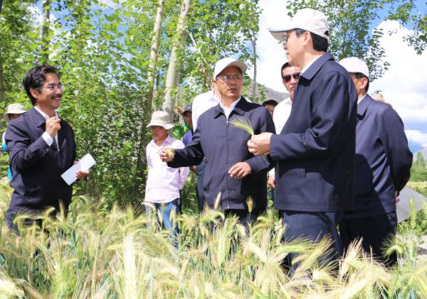 全國表彰大會(huì)上，為什么只有他沒到？