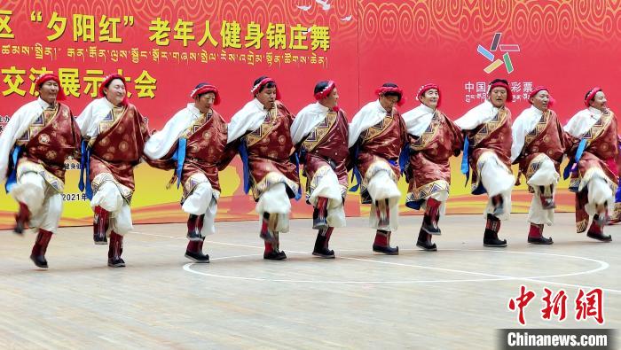 圖為西藏老年舞蹈隊(duì)齊跳傳統(tǒng)鍋莊舞。　貢桑拉姆 攝