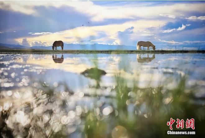 資料圖：那曲市申扎縣境內(nèi)的濕地。李雪峰 攝