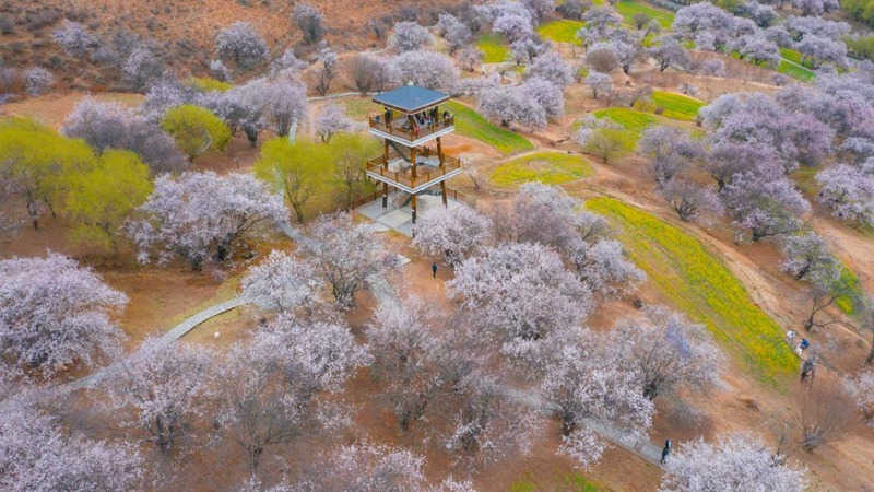 林芝嘎拉村。 張靜攝