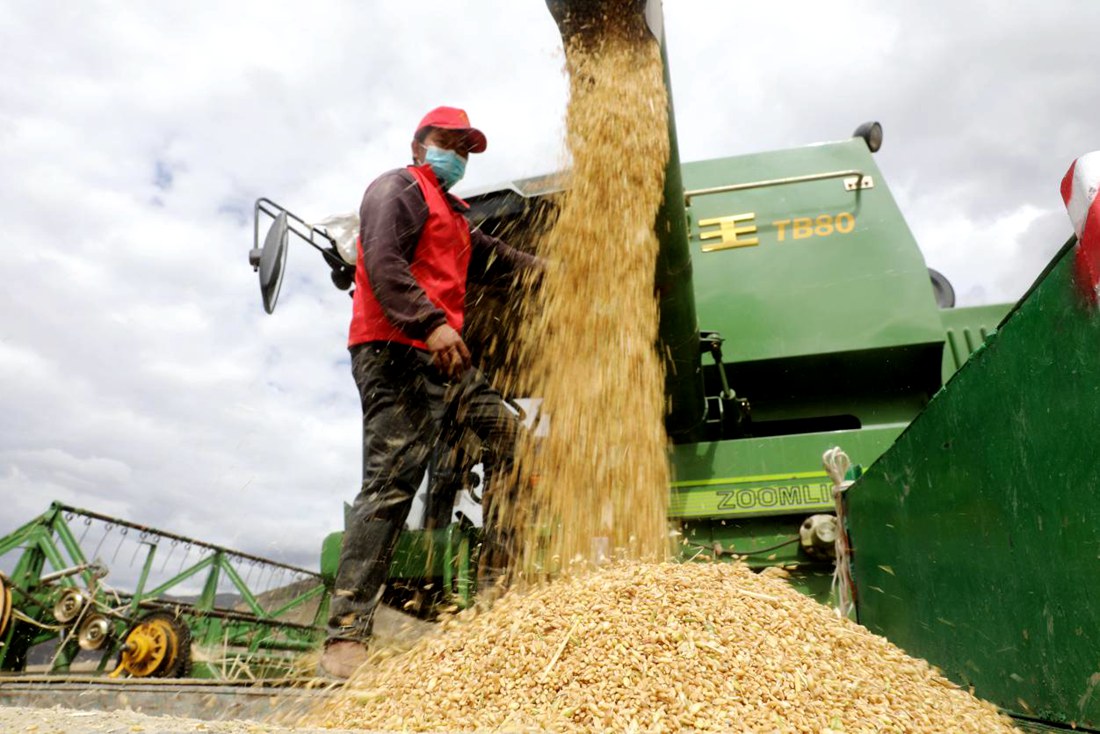 顆粒歸倉。洛克攝