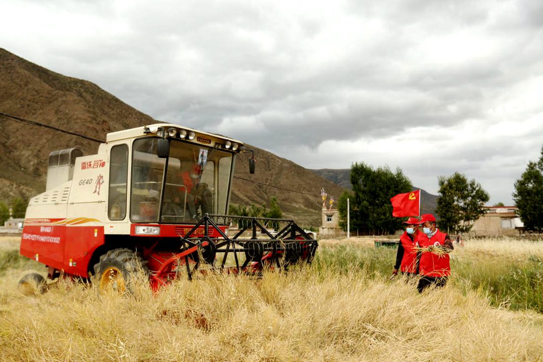 陣陣機(jī)械的轟鳴聲傳來豐收的喜悅。洛克攝