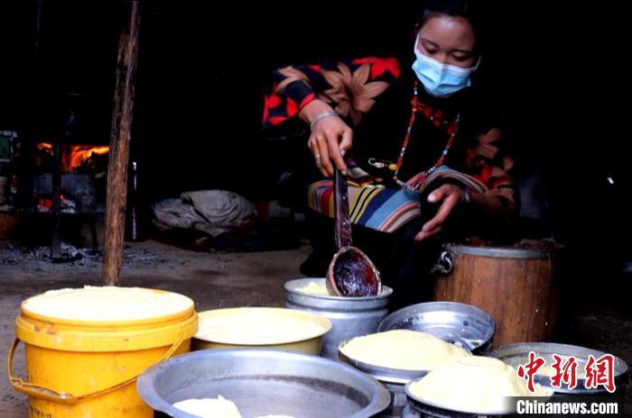 圖為牧民正在制作酥油?！∪湛t文聯(lián)供圖