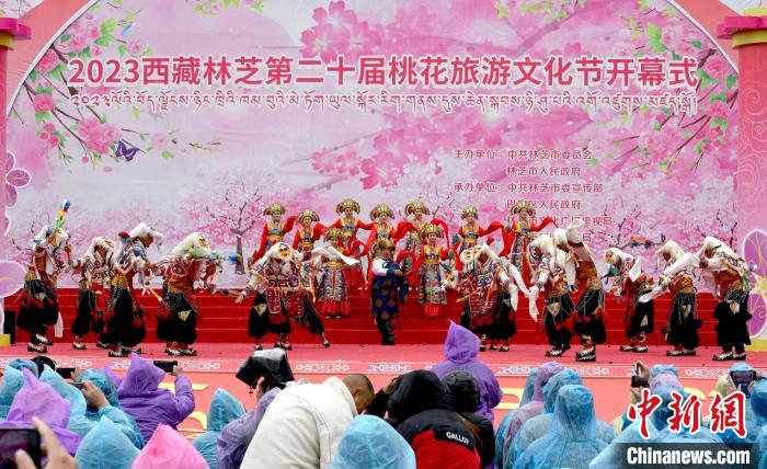 3月28日，西藏林芝第二十屆桃花旅游文化節(jié)開幕式上的文藝表演?！±盍?攝