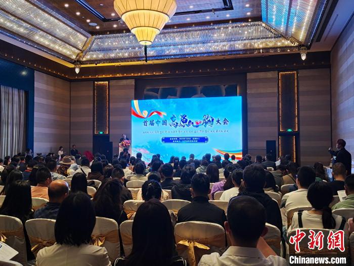 圖為首屆中國(guó)高原心胸大會(huì)現(xiàn)場(chǎng)?！☆D旦旺姆 攝