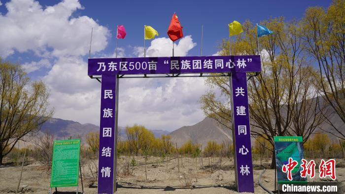 圖為“民族團(tuán)結(jié)同心林”項(xiàng)目?！∧藮|融媒供圖