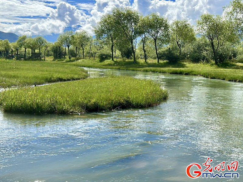 我們的家園丨【組圖】 綠水青山入畫，“金山銀山”筑起