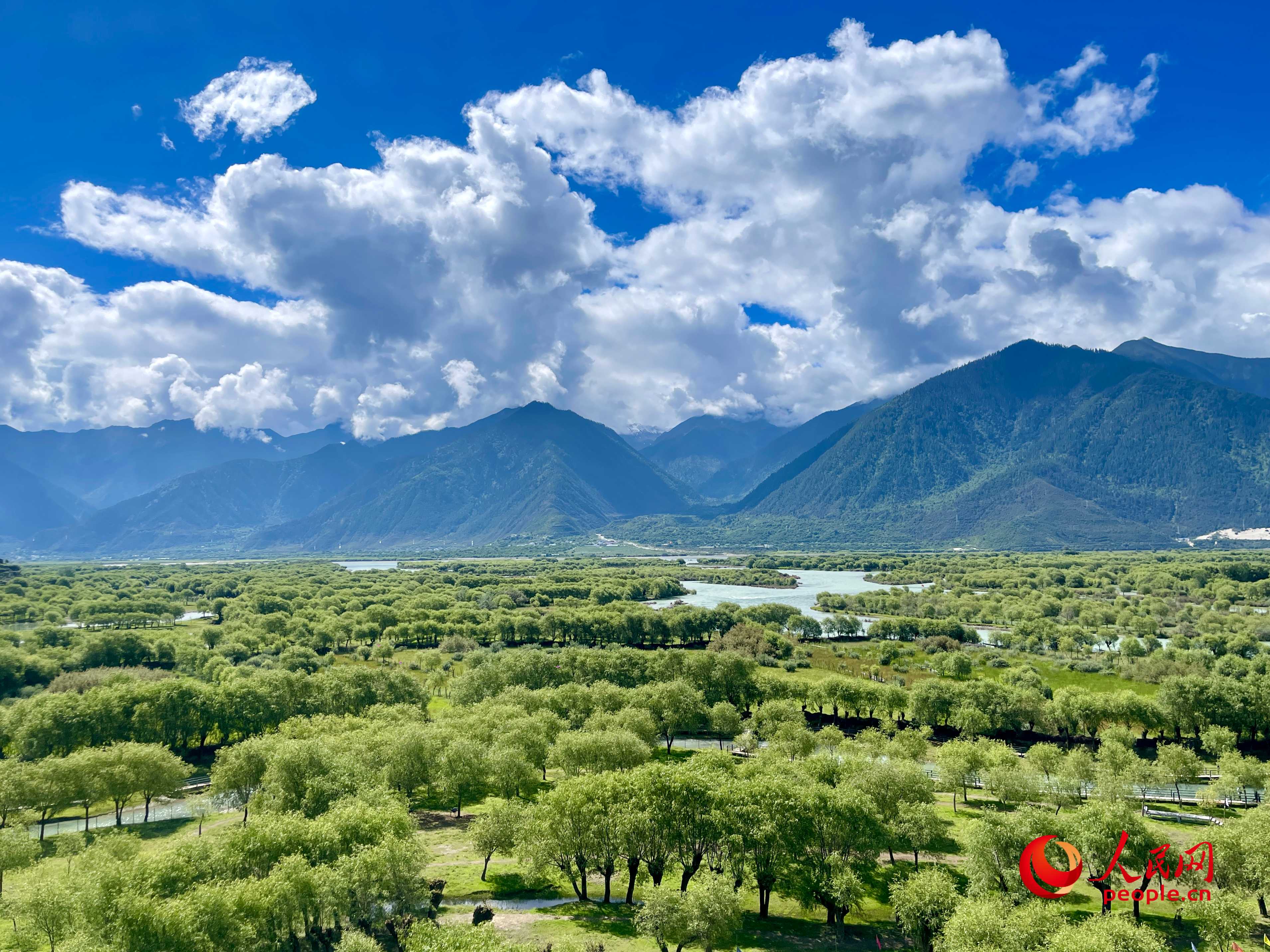 夏日的雅尼國(guó)家濕地公園生機(jī)盎然，如詩(shī)如畫。人民網(wǎng) 周靜圓攝
