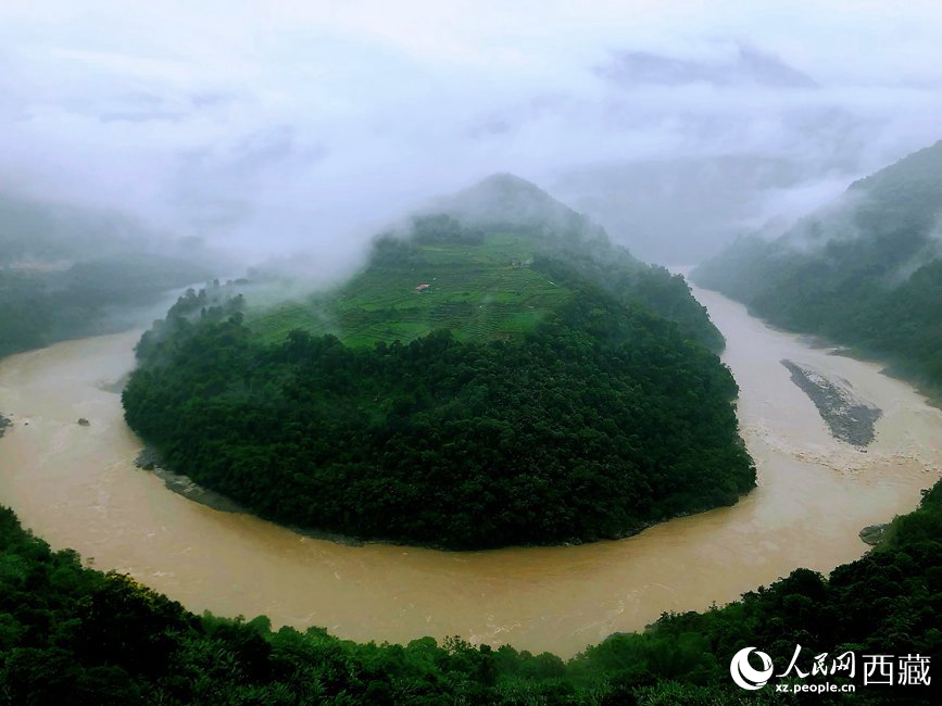雅魯藏布江大峽谷蛇形拐彎處，山坡上種滿茶樹。