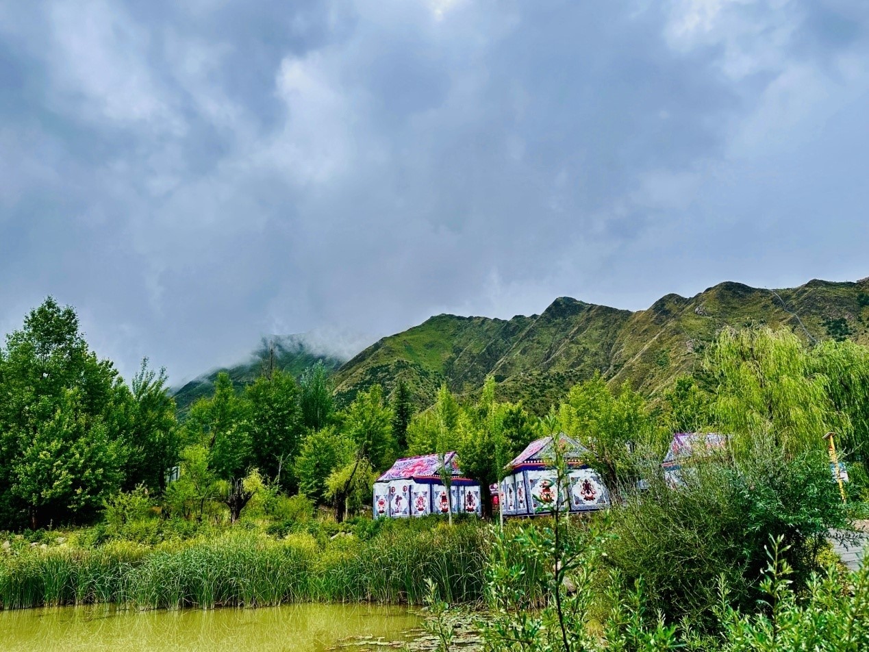 郁郁蔥蔥的南山公園。人民網(wǎng)記者 益西康珠攝